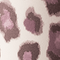 Dusty Glam