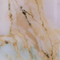 Pearl Marble