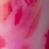 Random Paintress